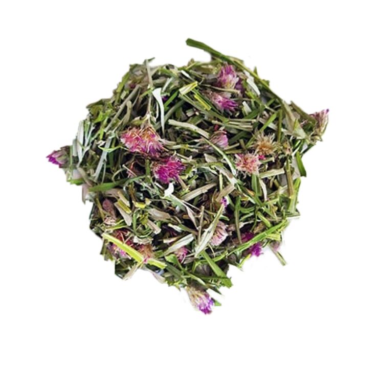 Saussurea loosestrife ekstraktas NEOflorax kapsulėse