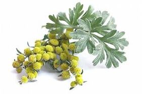 pelyno ekstraktas NEOflorax